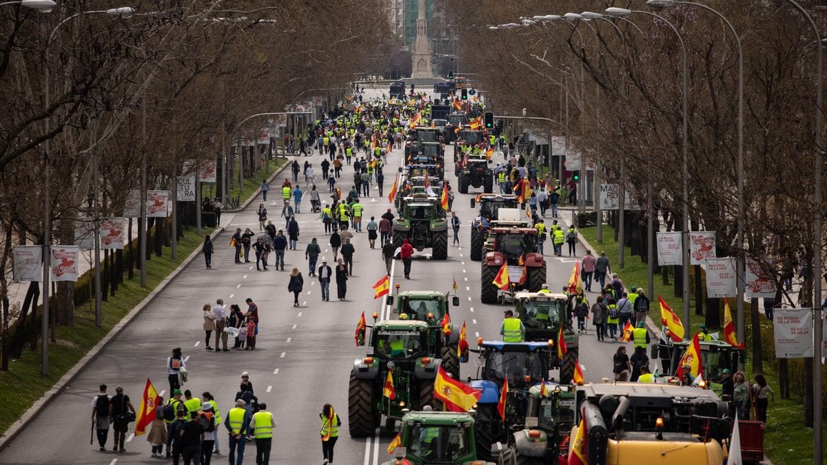 Fotografía que ilustra la noticia: Asaja, COAG y Unión de Uniones convocan una tractorada ante Agricultura el 28-O con UPA desmarcada