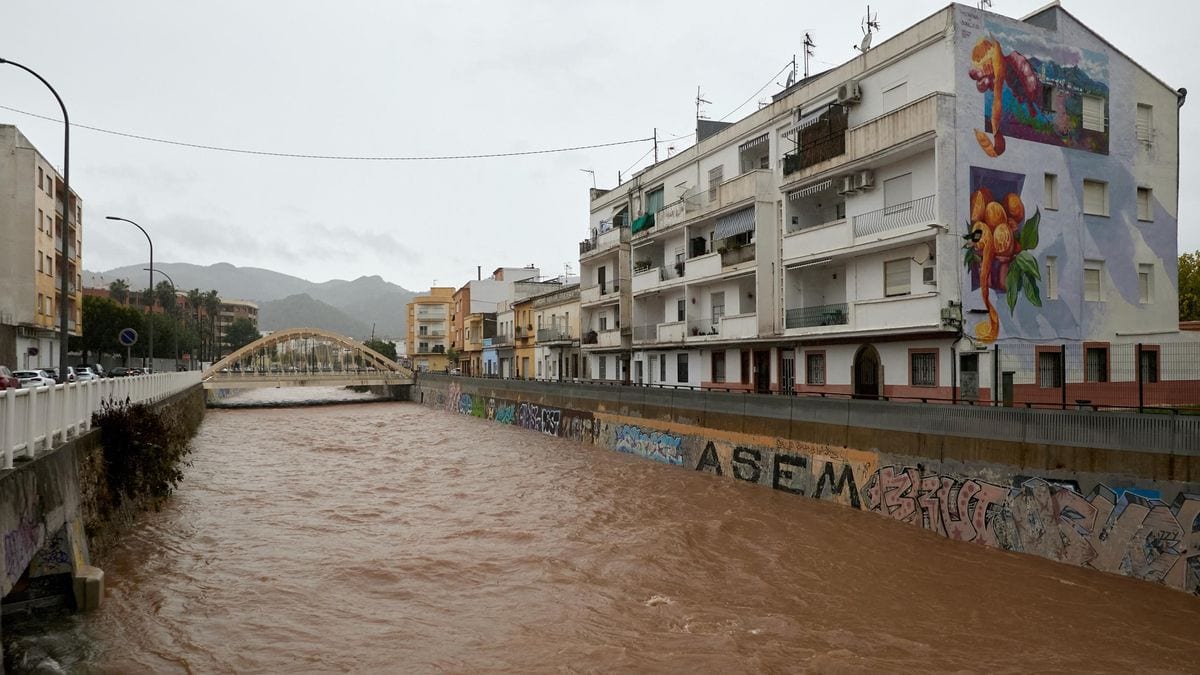 Fotografía que ilustra la noticia: El cambio climático ya encarece la cesta de la compra: el aceite subió un 139% y golpea con más fuerza a los hogares pobres