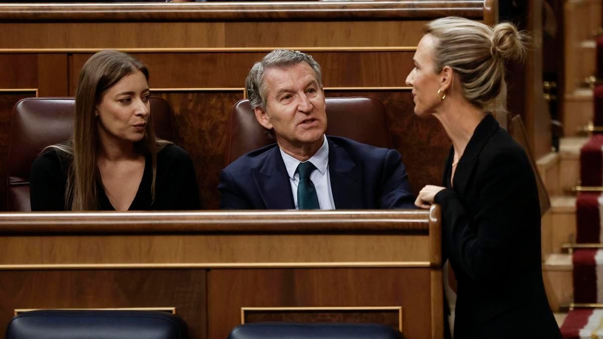 Fotografía que ilustra la noticia: Feijóo sitúa a perfiles duros del PP en las listas del 29N para frenar la fuga de voto a Vox