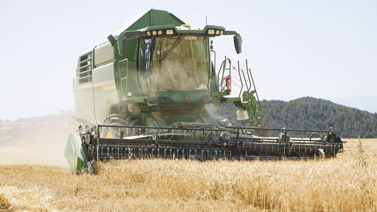 Fotografía que ilustra la noticia: La guerra dispara el cereal para piensos y aboca a una subida del pollo y el cerdo