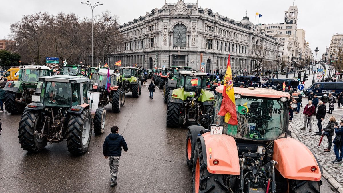Fotografía que ilustra la noticia: Tres de cada cuatro organizaciones agrarias convocan una tractorada en Madrid en plena precampaña electoral con la renta del campo como telón de fondo